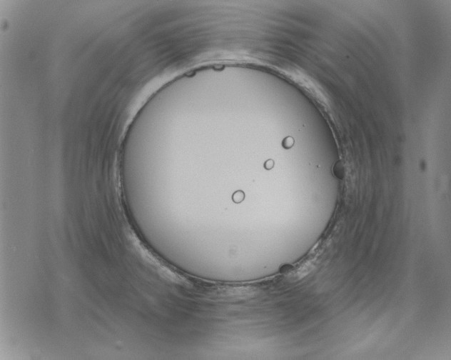 X0000072491382200608041405