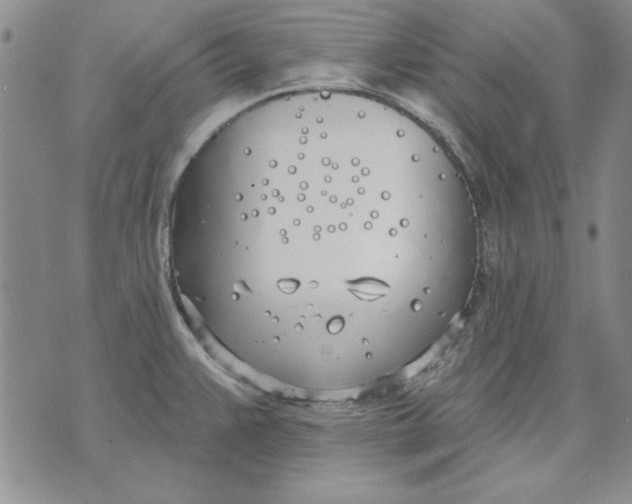 X0000072491383200608041405