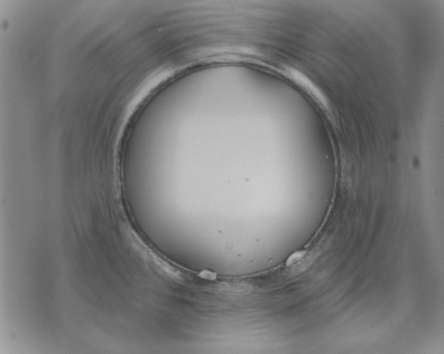 X0000072491384200608041405