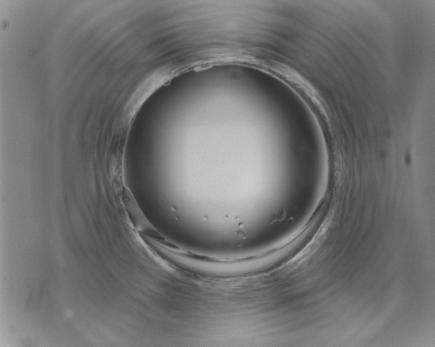 X0000072491385200608041405