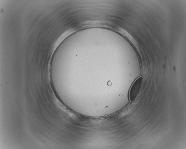 X0000072491386200608041405