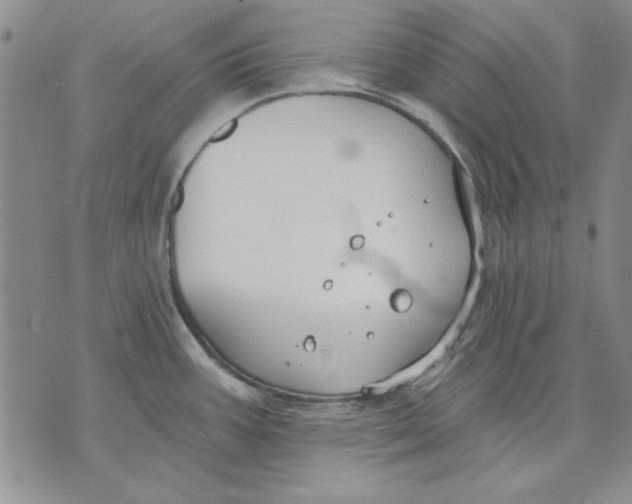 X0000072491387200608041405