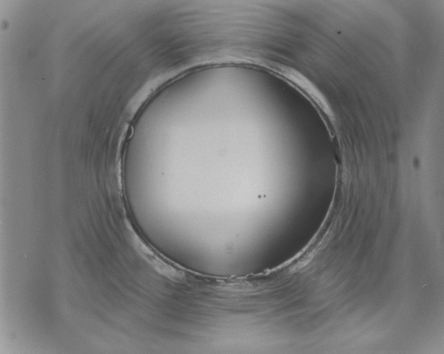 X0000072491388200608041405