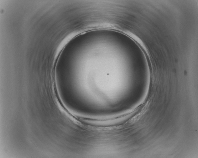 X0000072491389200608041405