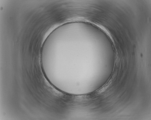 X0000072491390200608041405