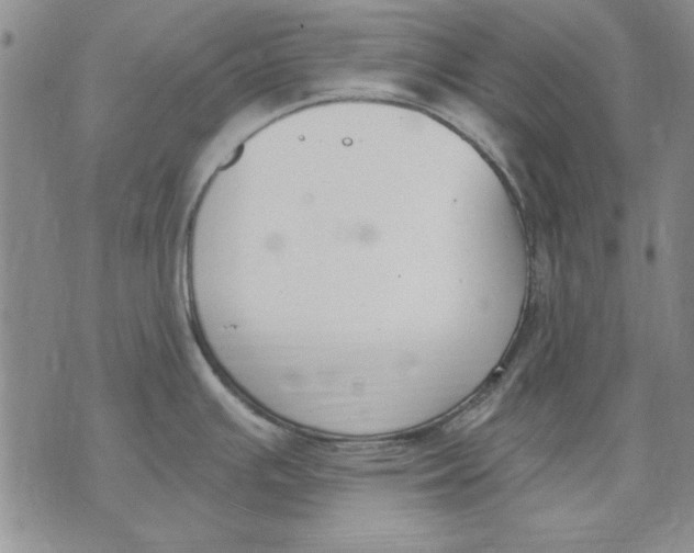 X0000072491391200608041405