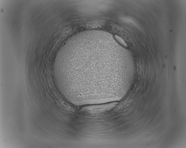 X0000072491393200608041404