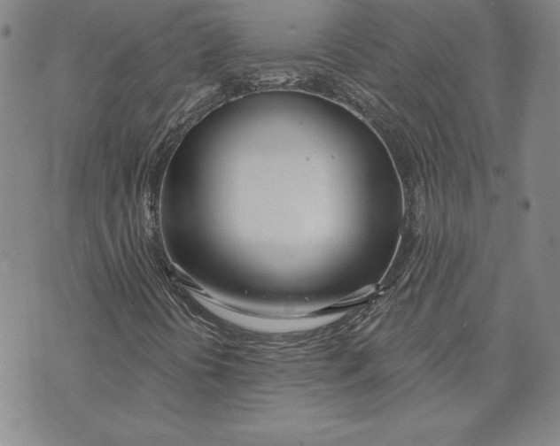 X0000072491394200608041404