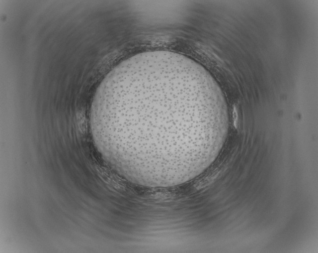 X0000072491395200608041404