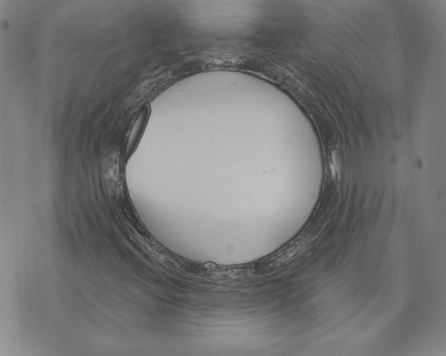 X0000072491396200608041404