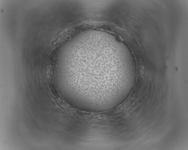 X0000072491397200608041404