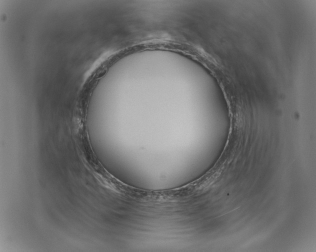 X0000072491400200608041404