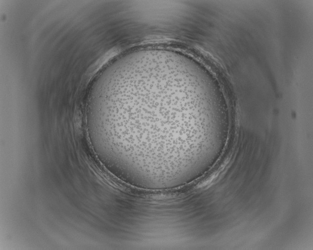 X0000072491401200608041404