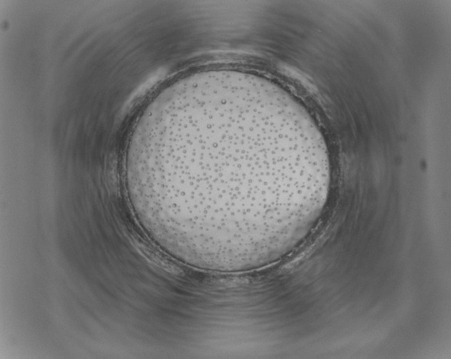 X0000072491403200608041404