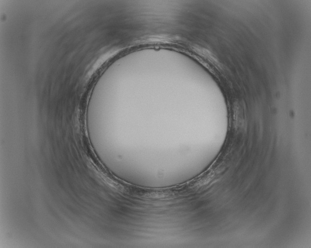 X0000072491404200608041404