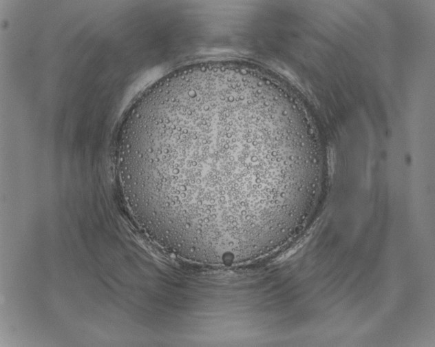 X0000072491405200608041404