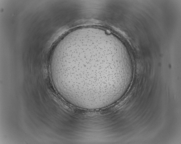 X0000072491407200608041404