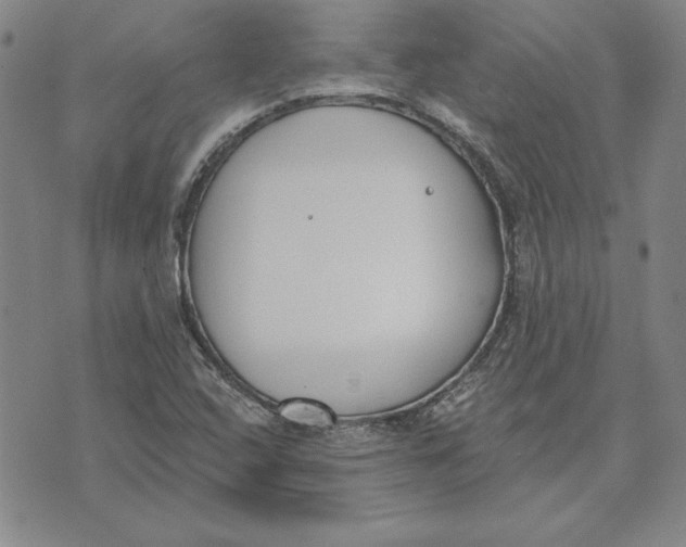 X0000072491408200608041404