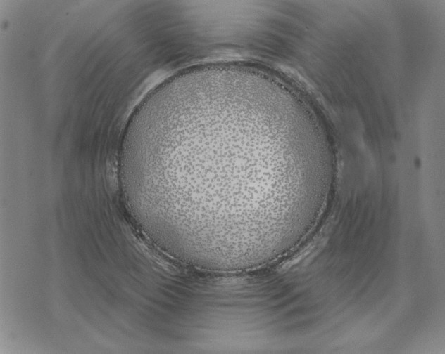 X0000072491409200608041404