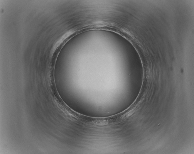 X0000072491410200608041404