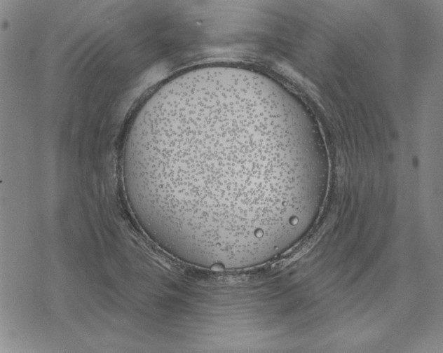 X0000072491411200608041404