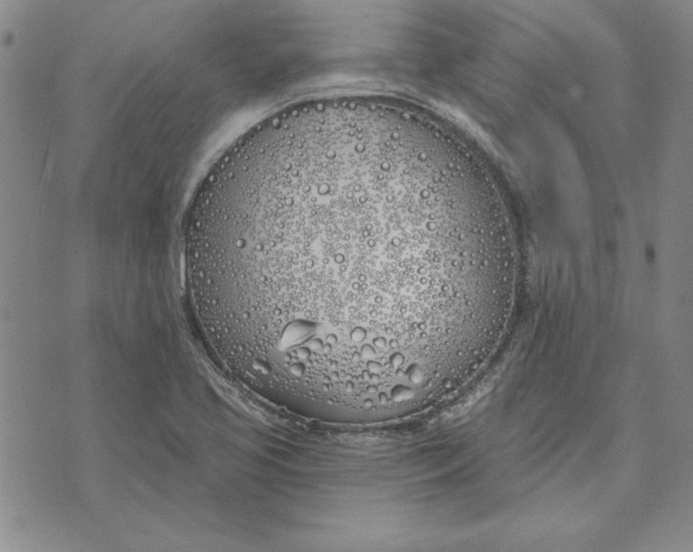 X0000072491413200608041404