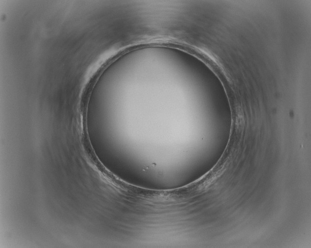 X0000072491414200608041404