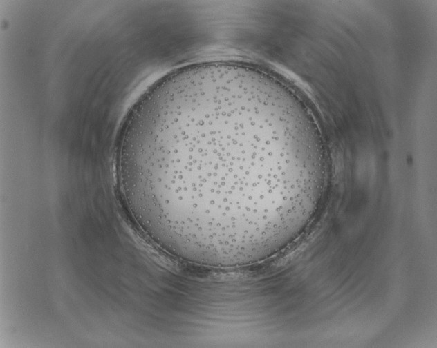 X0000072491415200608041404