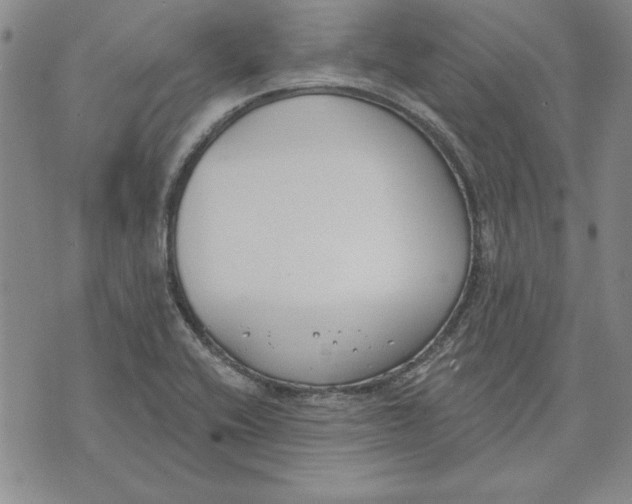 X0000072491416200608041404