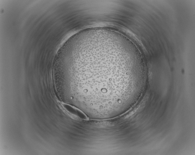 X0000072491417200608041404