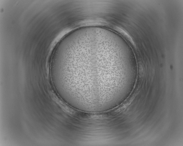 X0000072491419200608041404