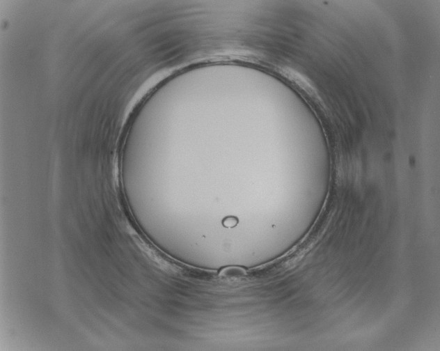 X0000072491420200608041404