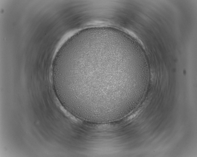 X0000072491421200608041404