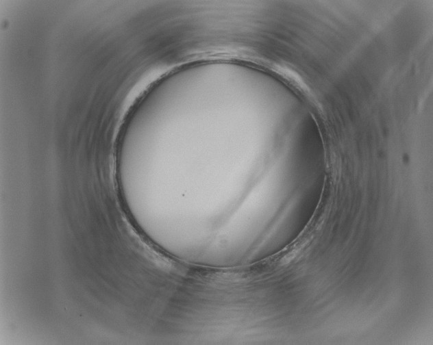 X0000072491424200608041404