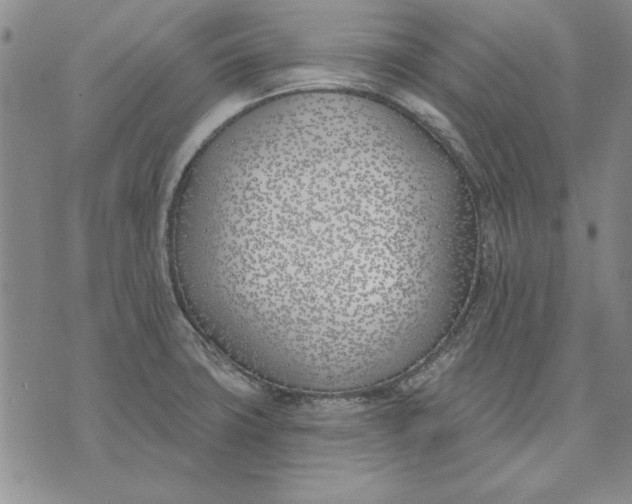 X0000072491427200608041404