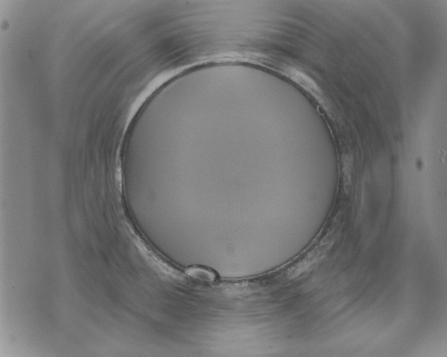 X0000072491428200608041404