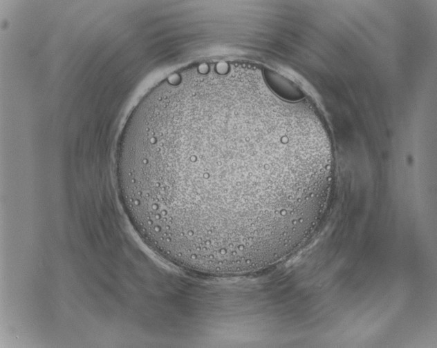 X0000072491429200608041405