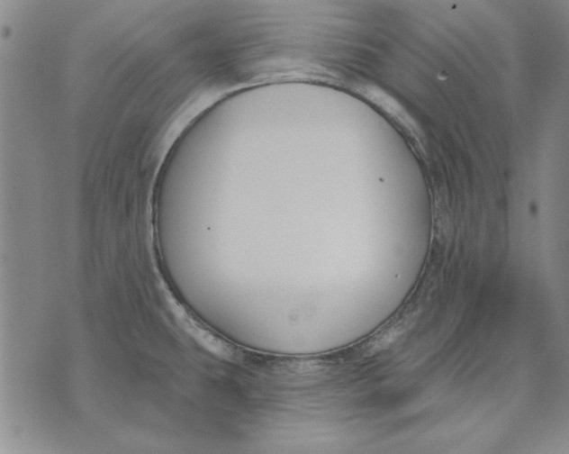 X0000072491431200608041405