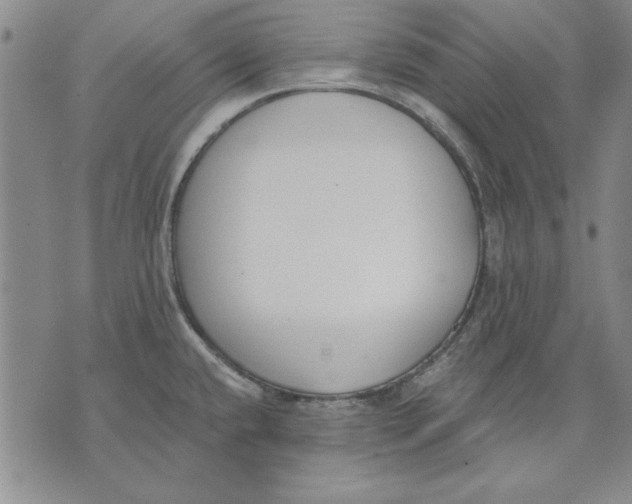 X0000072491432200608041405