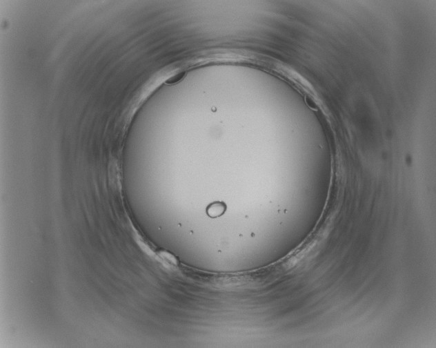 X0000072491433200608041405