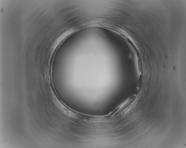 X0000072491434200608041405