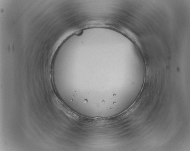 X0000072491435200608041405