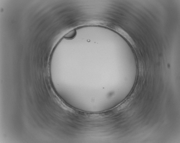 X0000072491436200608041405