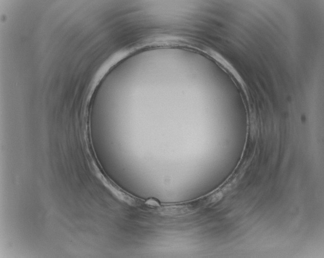 X0000072491437200608041405