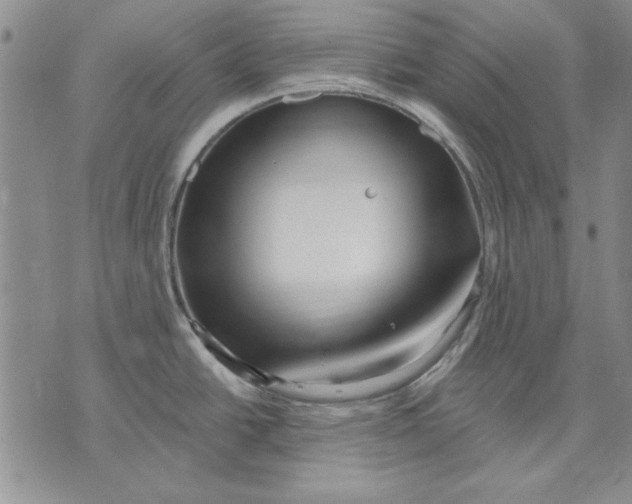 X0000072491438200608041405