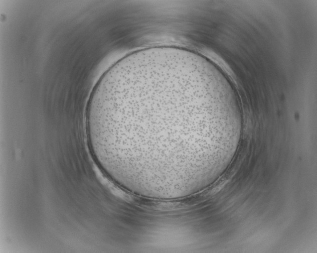 X0000072491439200608041405