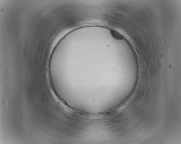 X0000072491440200608041405