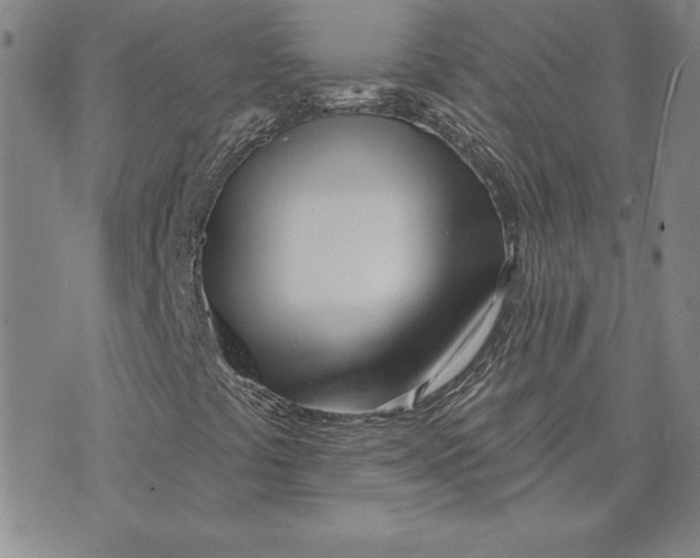 X0000072491441200608041404