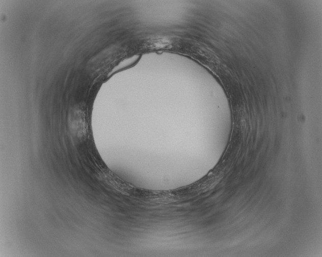 X0000072491442200608041404