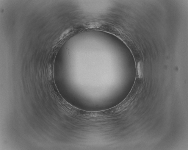 X0000072491443200608041404